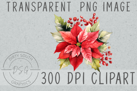 Download Christmas Poinsettia Arrangement - Premium Bundle